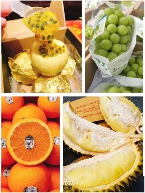 冬日柚香 12月28日起為期13天的柚子批發(fā)盛宴