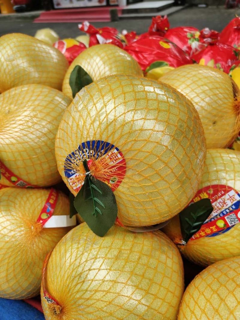湖北宜昌西陵區白心蜜柚 產地直供，品質優價格美